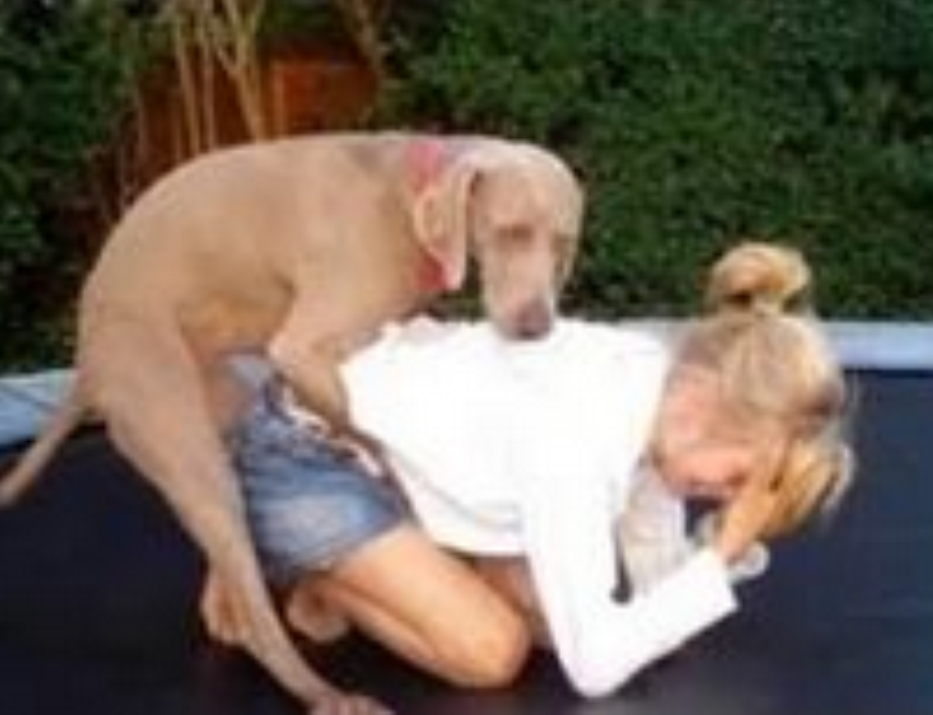 Hund Fikt Frau Hund Fikt Frau