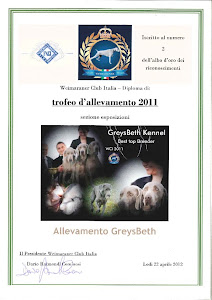 The winner is Greysbeth kennel top breeder Italy 2011