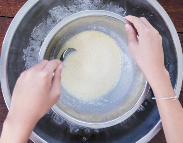FUN SCIENCE FOR KIDS: Can you make ice cream without electricity or refrigeration??