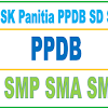 Download Contoh SK Panitia PPDB SD SMP SMA Tahun 2019/2020