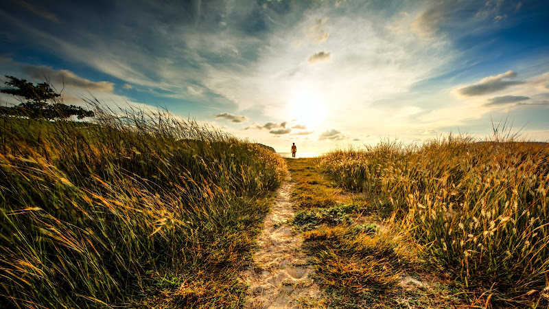 Walk to Sunset