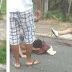Imagens fortes: jovem tem perna decepada após colidir contra poste