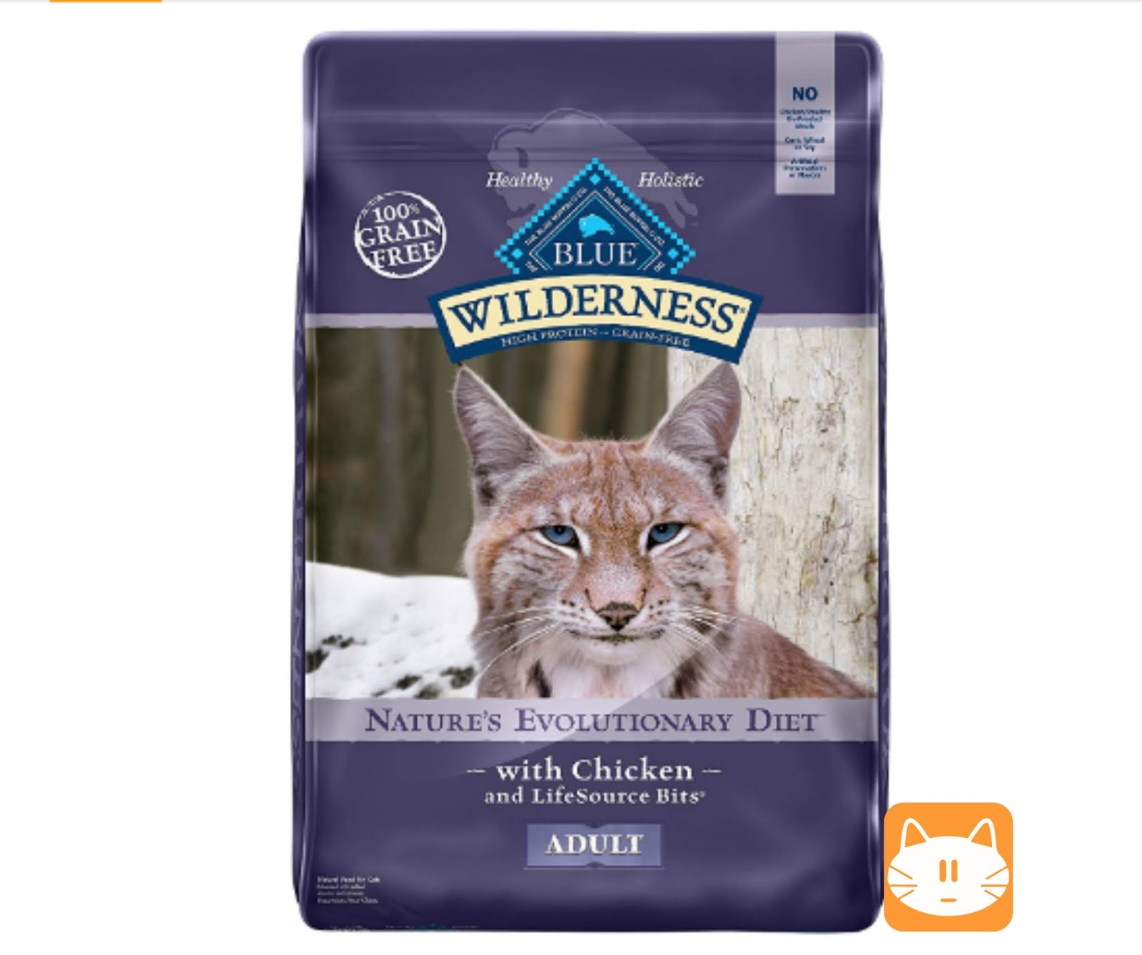 Dry cat food brands Life Of Kitten