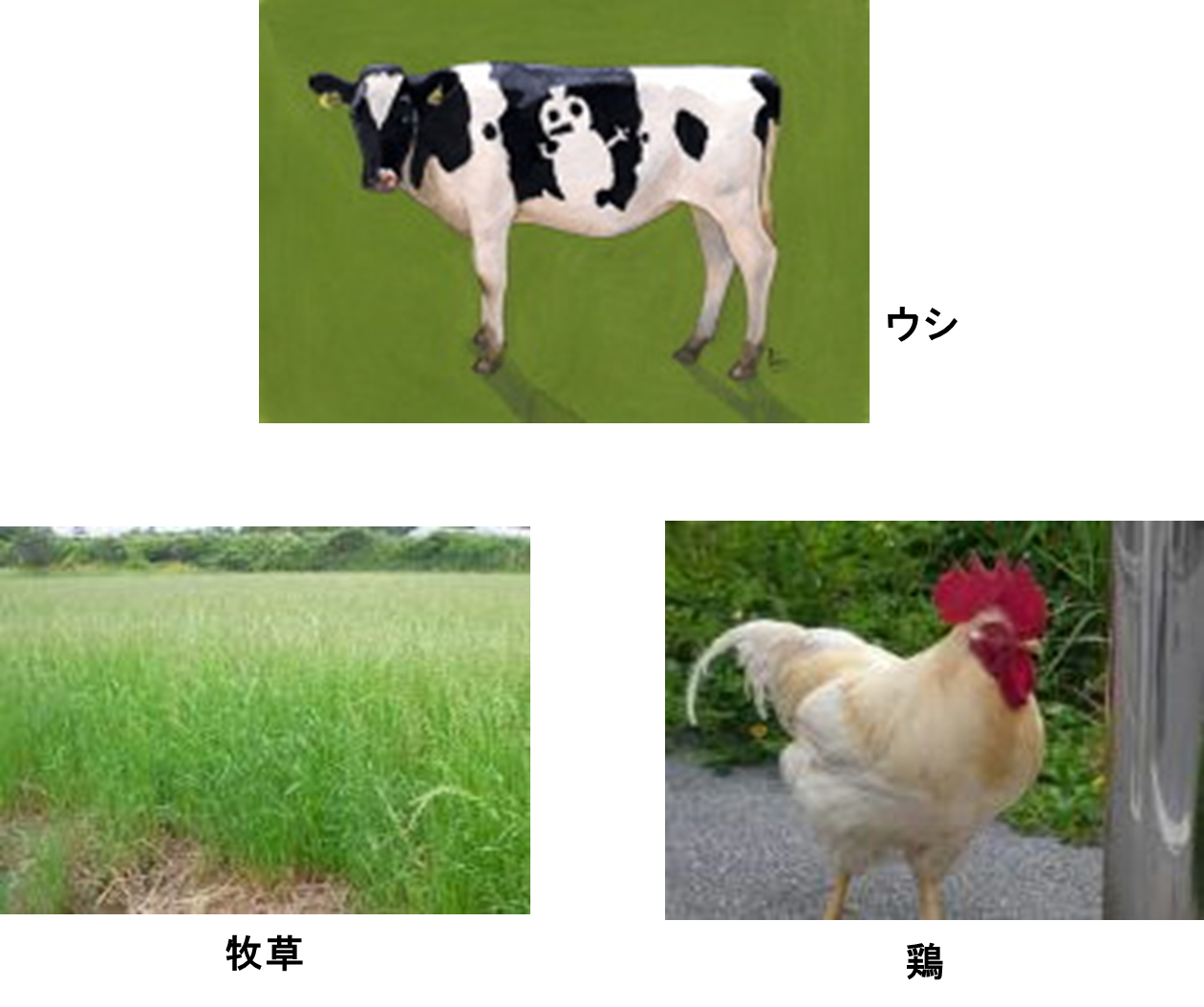 何世代経ちましたか？