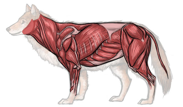 jade robertson animation college daily blogs