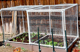 g*rated: Square Foot Garden & Hinged Door Cage