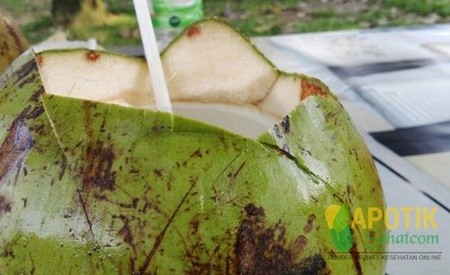 Manfaat Air Kelapa Manfaat Air Kelapa