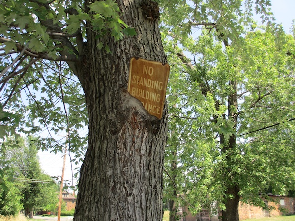 tree eating sign Detroit 2