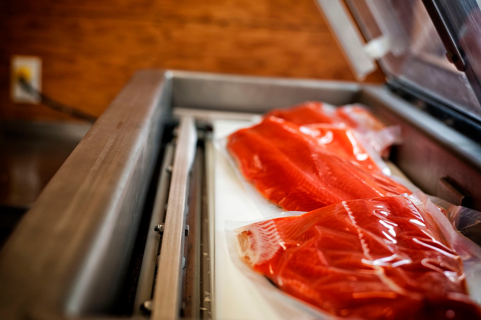 Escott Sportfishing From the Hook to the Cook Fish Care You Can Trust