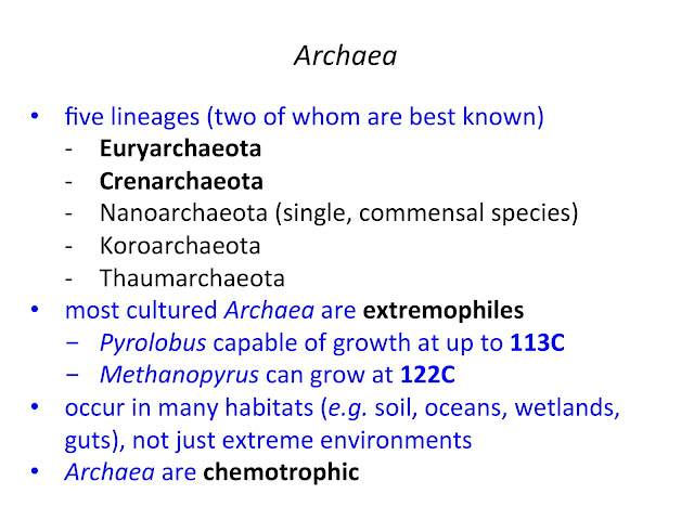 General Characteristics of Archaea