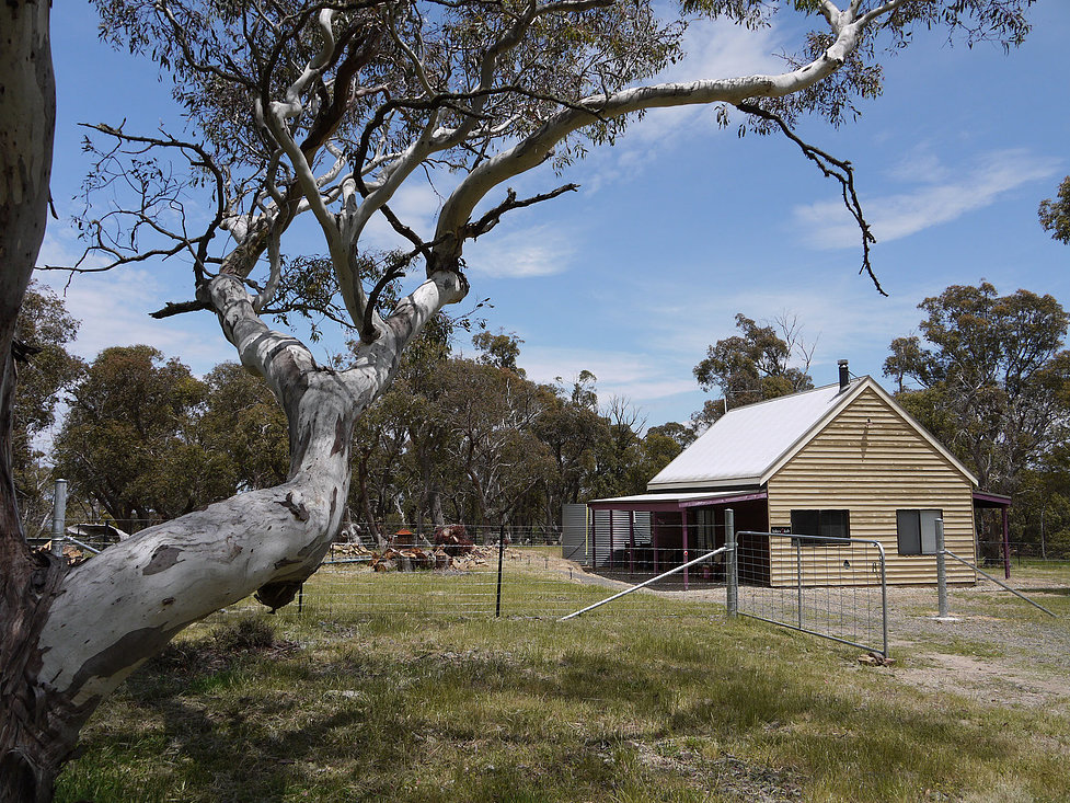 10 DogFriendly Winter Escapes Australian Dog Lover