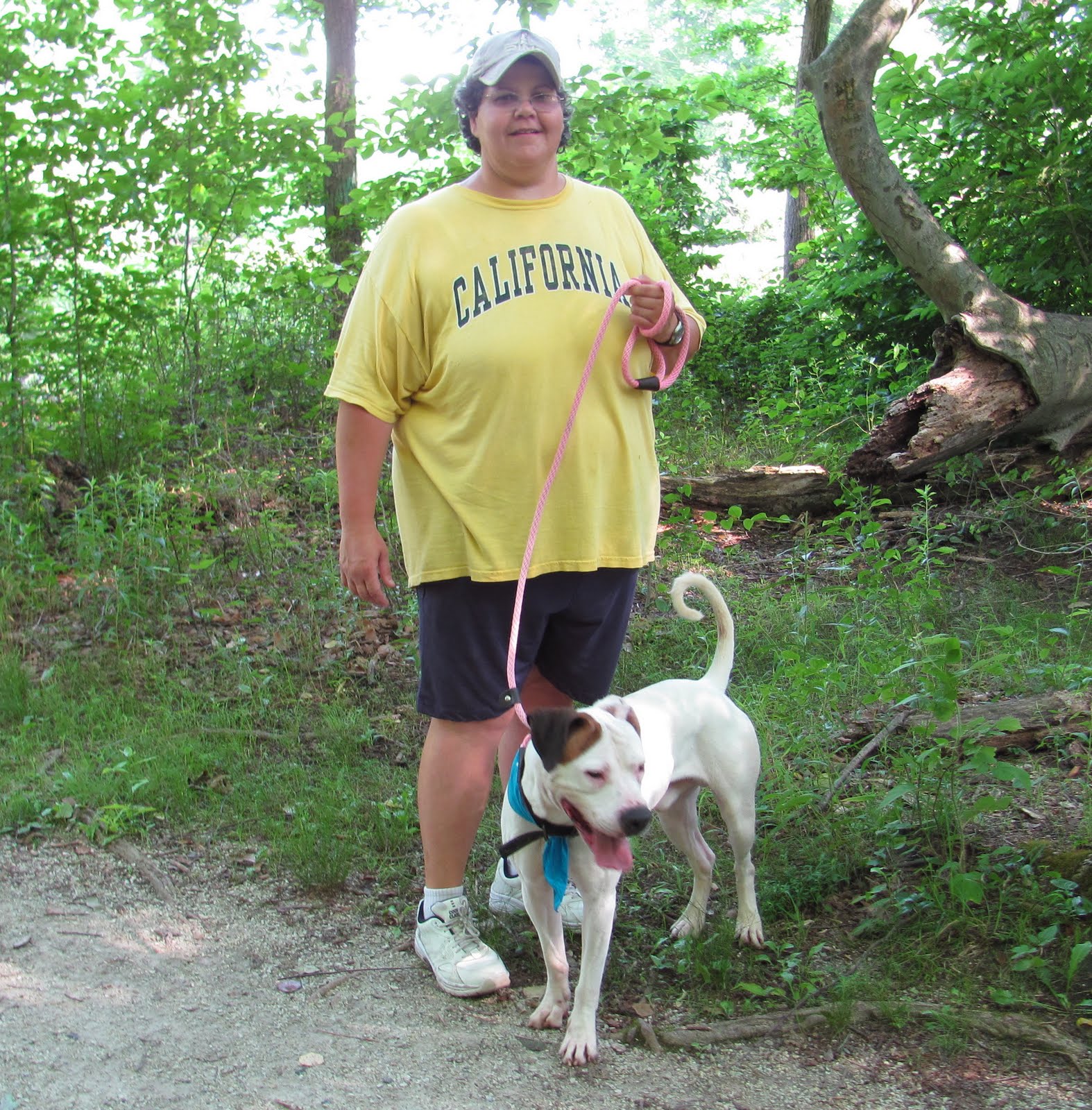 Burlington County Animal Shelter Volunteer petfinder