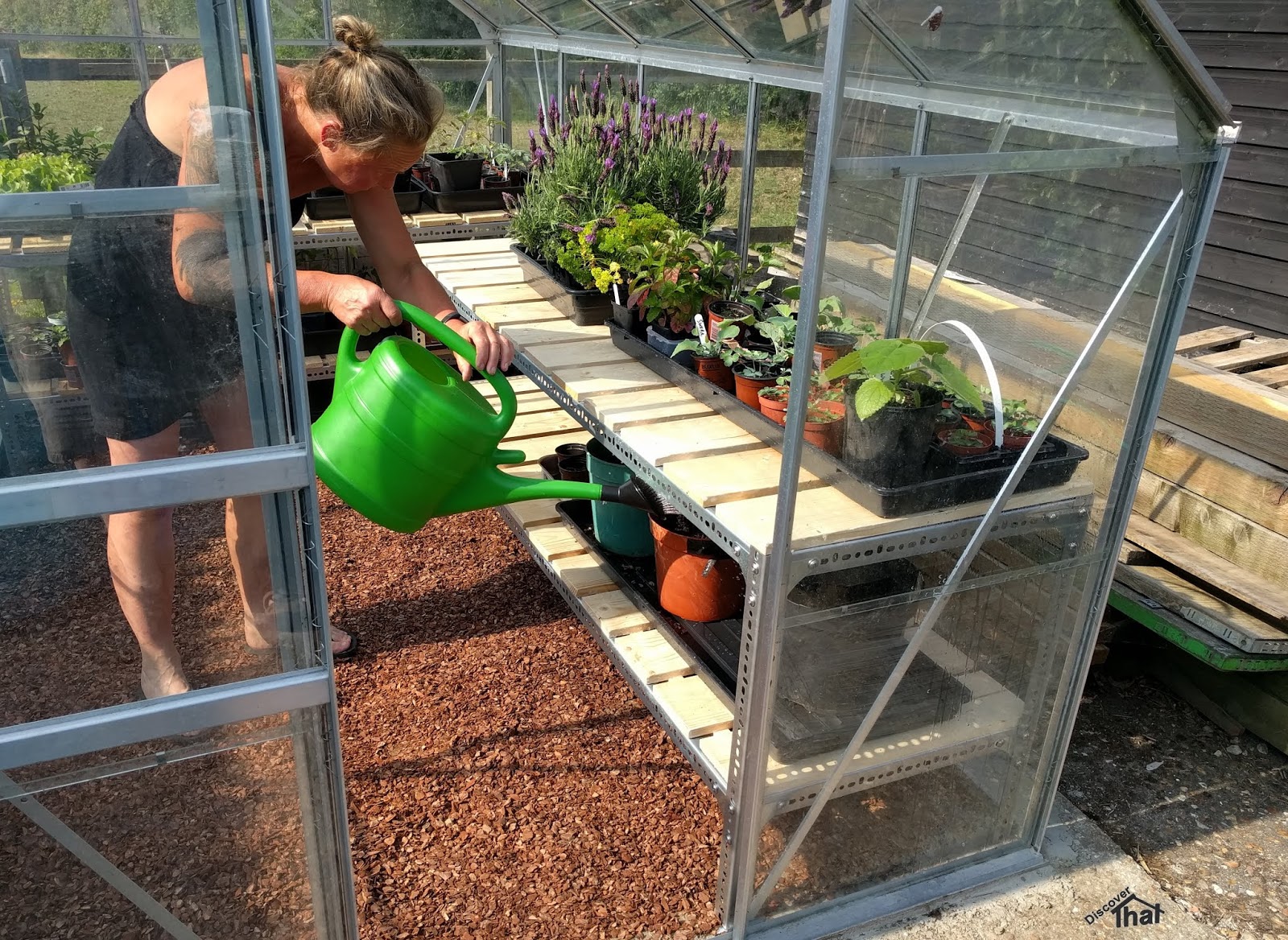 DiscoverThat Journal Greenhouse staging