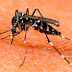 Mutirão de combate ao Aedes Aegypti começa nesta sexta