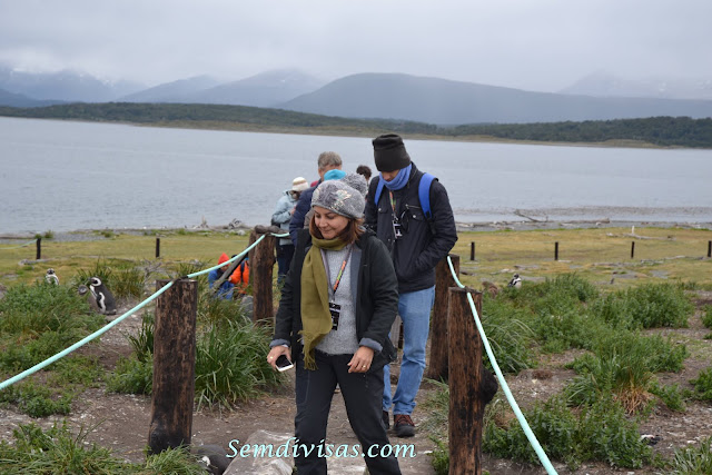 semdivisas.com - Ushuaia - Estancia Harberton - Isla Martillo