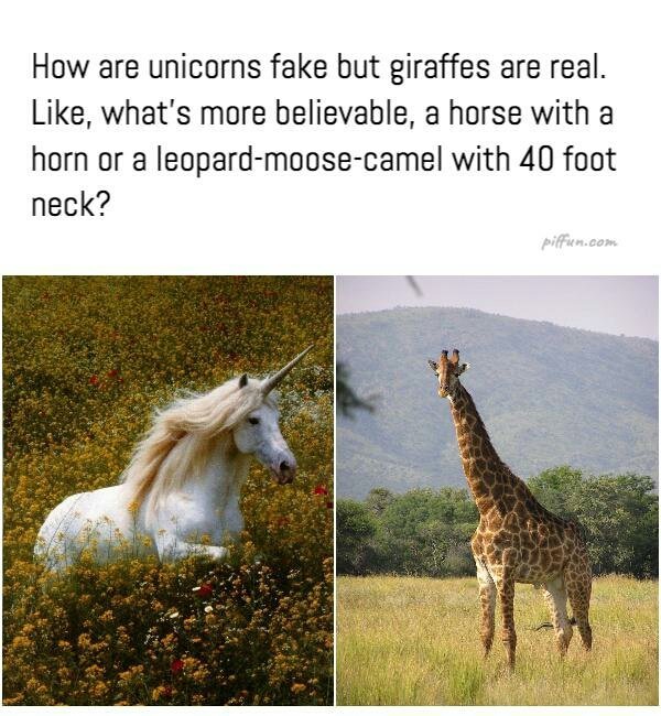 How are unicorns fake but giraffes are real, llike what's more