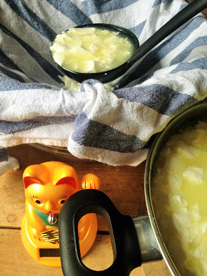 la laiterie de paris, recette feta, faire de la feta, fromage maison, fromage paris, blog fromage, site fromage, blog fromage maison, tour du monde fromage