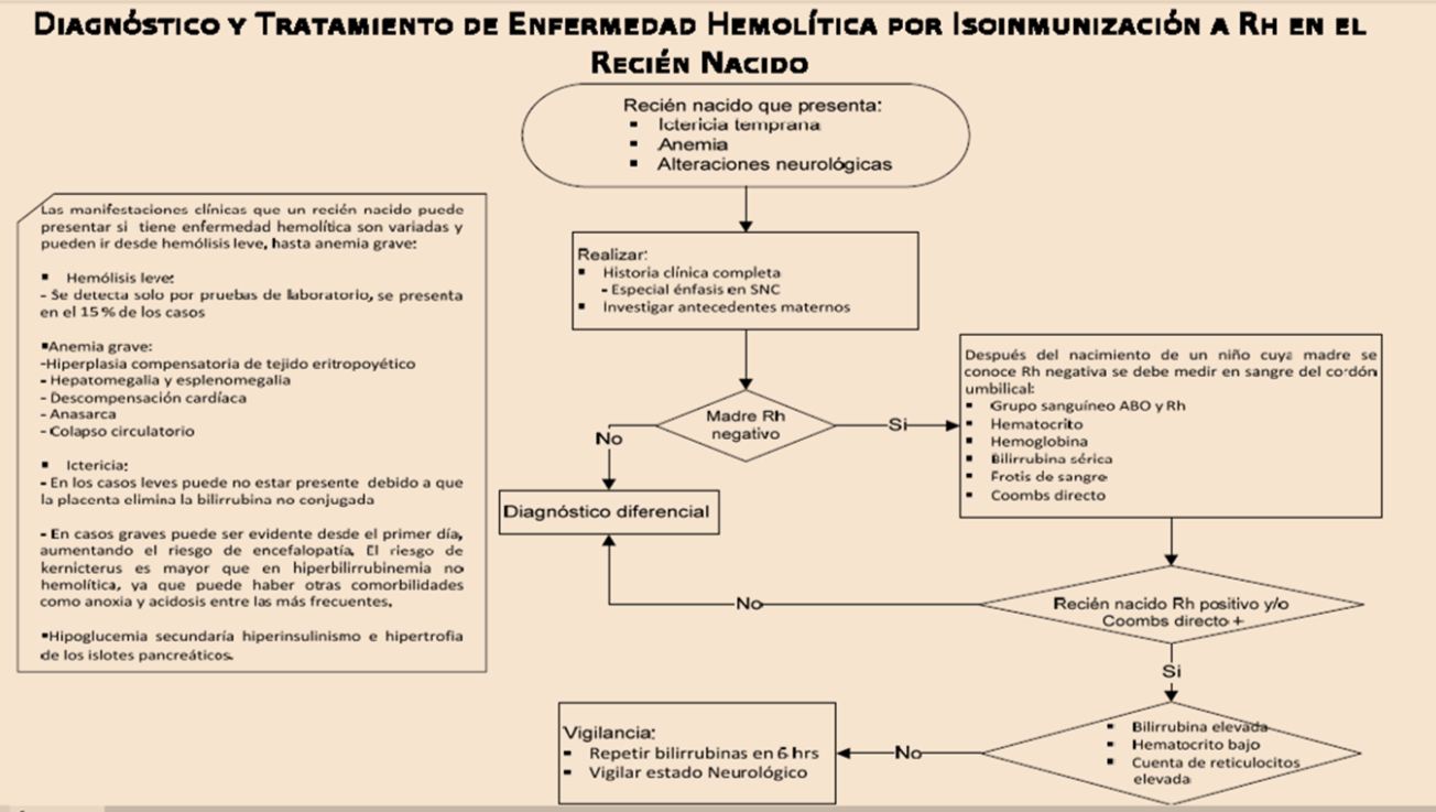 cuadro clinico de blood disease hemolitica del recien nacido