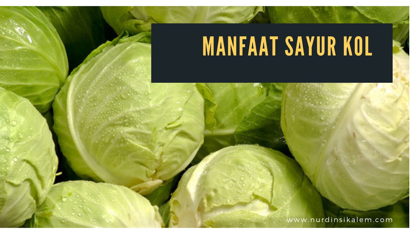 Manfaat Sayur Kol Untuk Penangkal Kanker, Hidup Sehat Yuk
