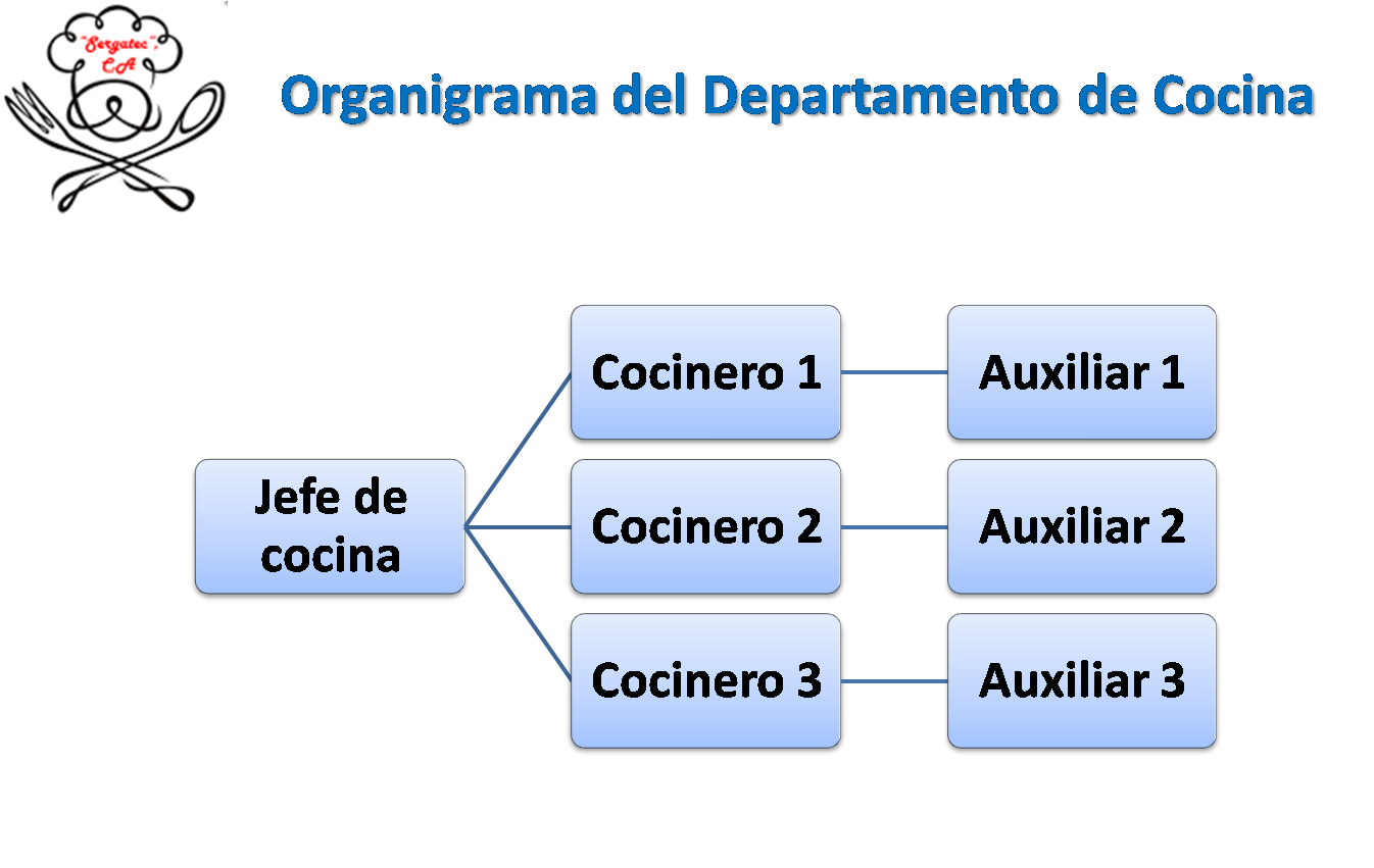 "Sergatec", C.A: Organigrama del departamento de cocina