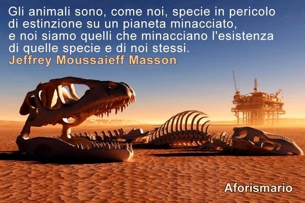 Aforismario Aforismi Frasi E Citazioni Sull Estinzione