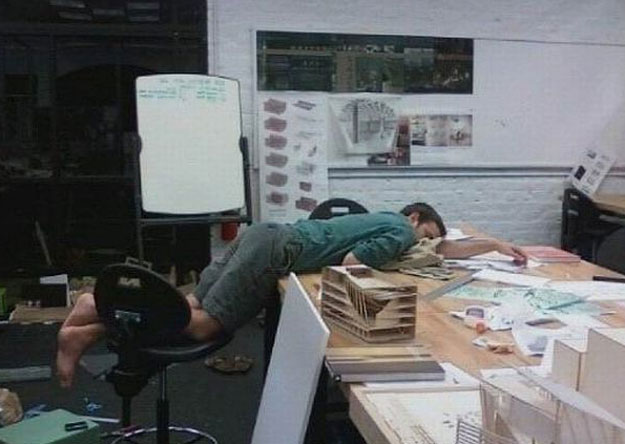 Funny pictures sleeping on the job
