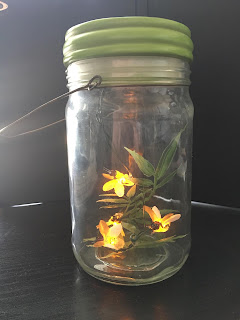 memories, fireflies, ancestry, family history, genealogy