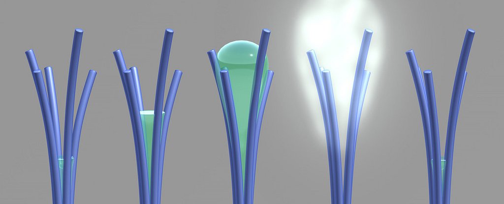 Scientists accidentally created nanorods that harvest water from the air