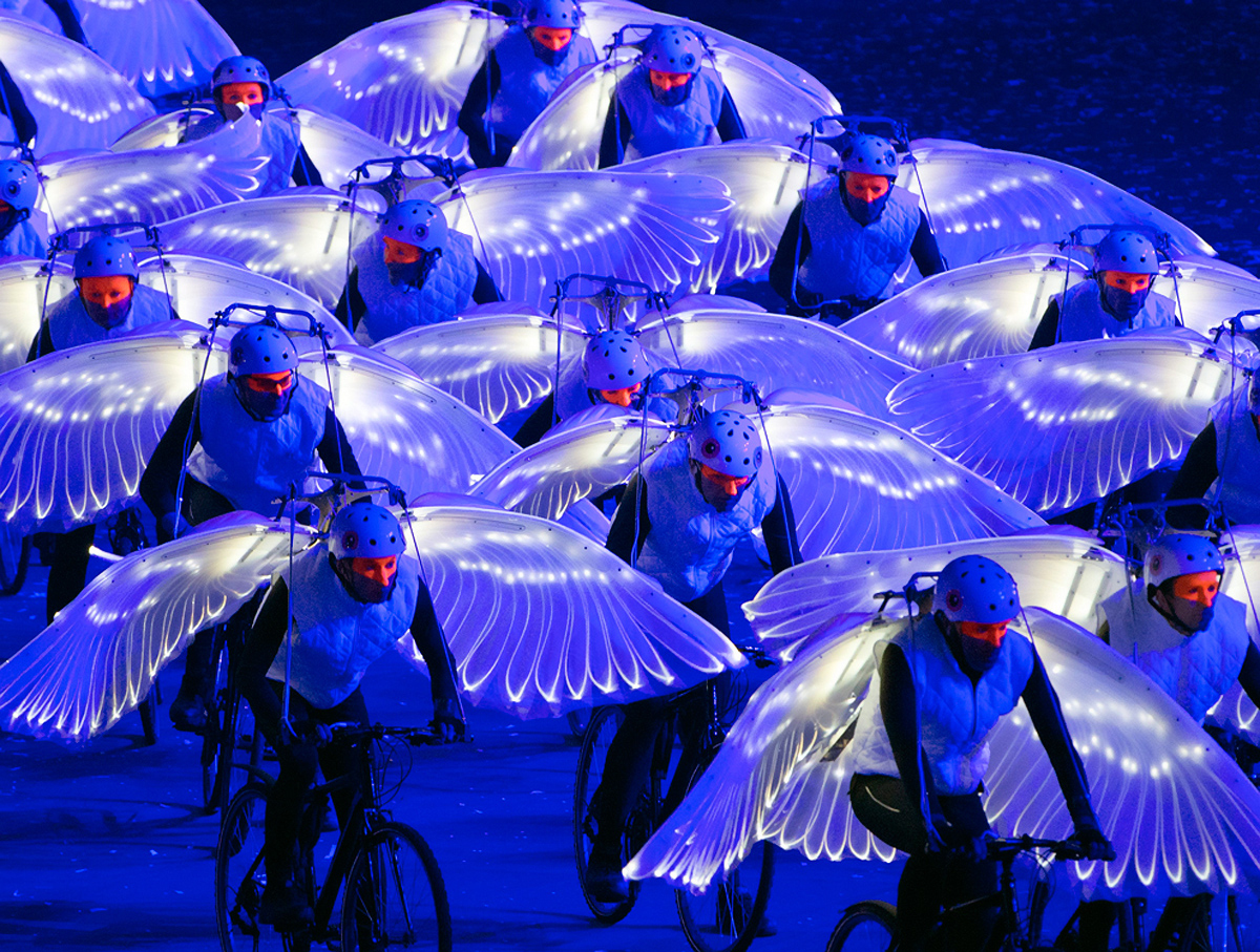 олимпийский голубь. викторина про птиц. парад спортсменов. церемония открытия олимпийских игр. репетиция открытия олимпийских игр 2020.