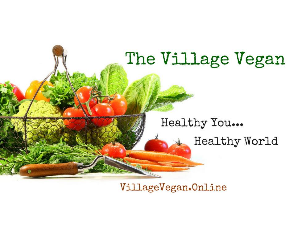 Village Vegan MAGAZINE: 45 Very Healthy Vegan Snacks!