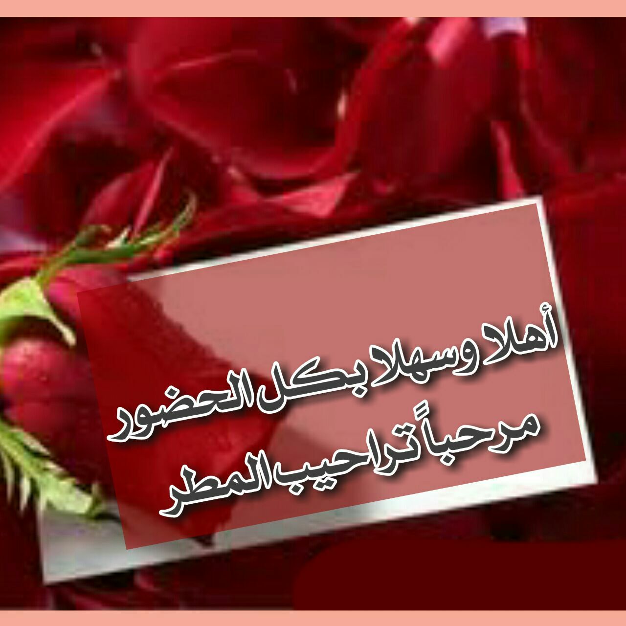 حفل قسم التلاوه موقع ختمة العمر حفل قسم التلاوه موقع ختمة العمر