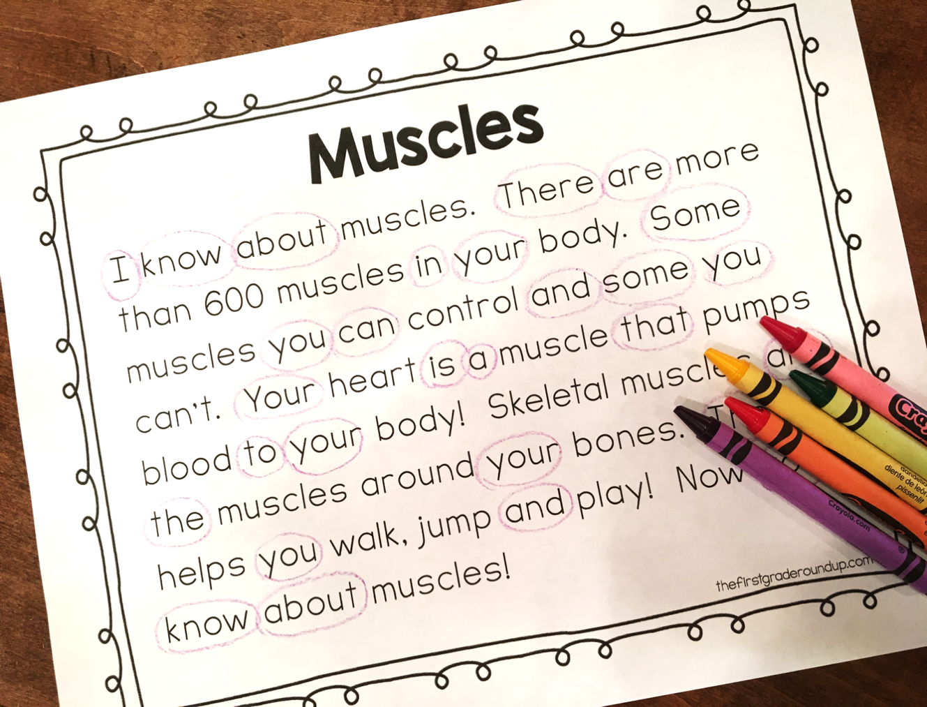 Close Reading in First Grade - Firstgraderoundup