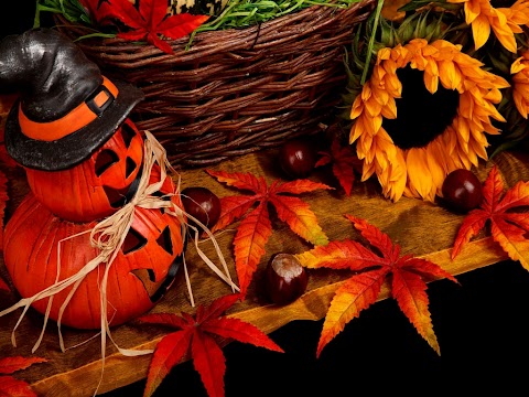 trololo blogg: Cute Halloween Wallpaper Desktop