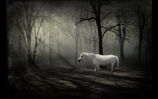 Fantasy White Horse in the Forest wallpaper