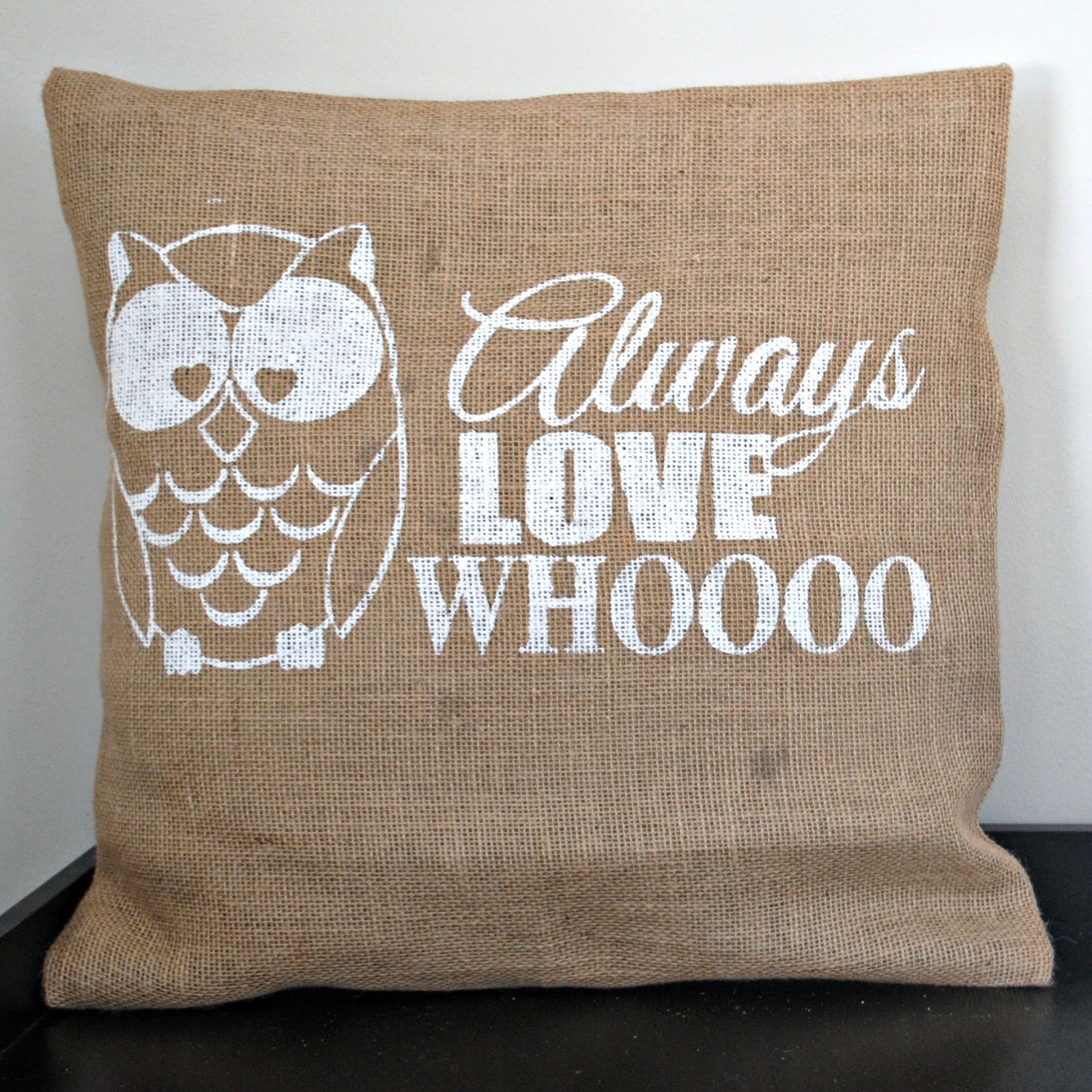 Owl, painted, pillow cover, DIY, do it yourself, Silhouette Studio, Silhouette tutorial