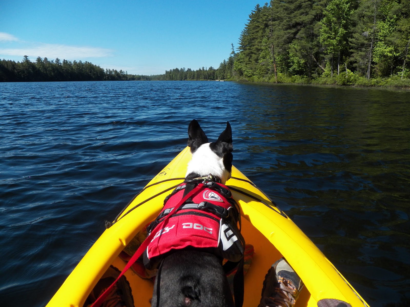 Quiet Kayaking in New York State Francis Lake, part one
