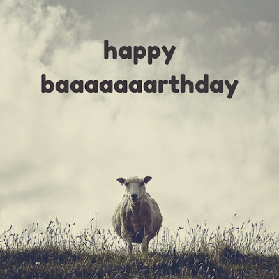 Funny Birthday Wishes Funny Birthday Wishes