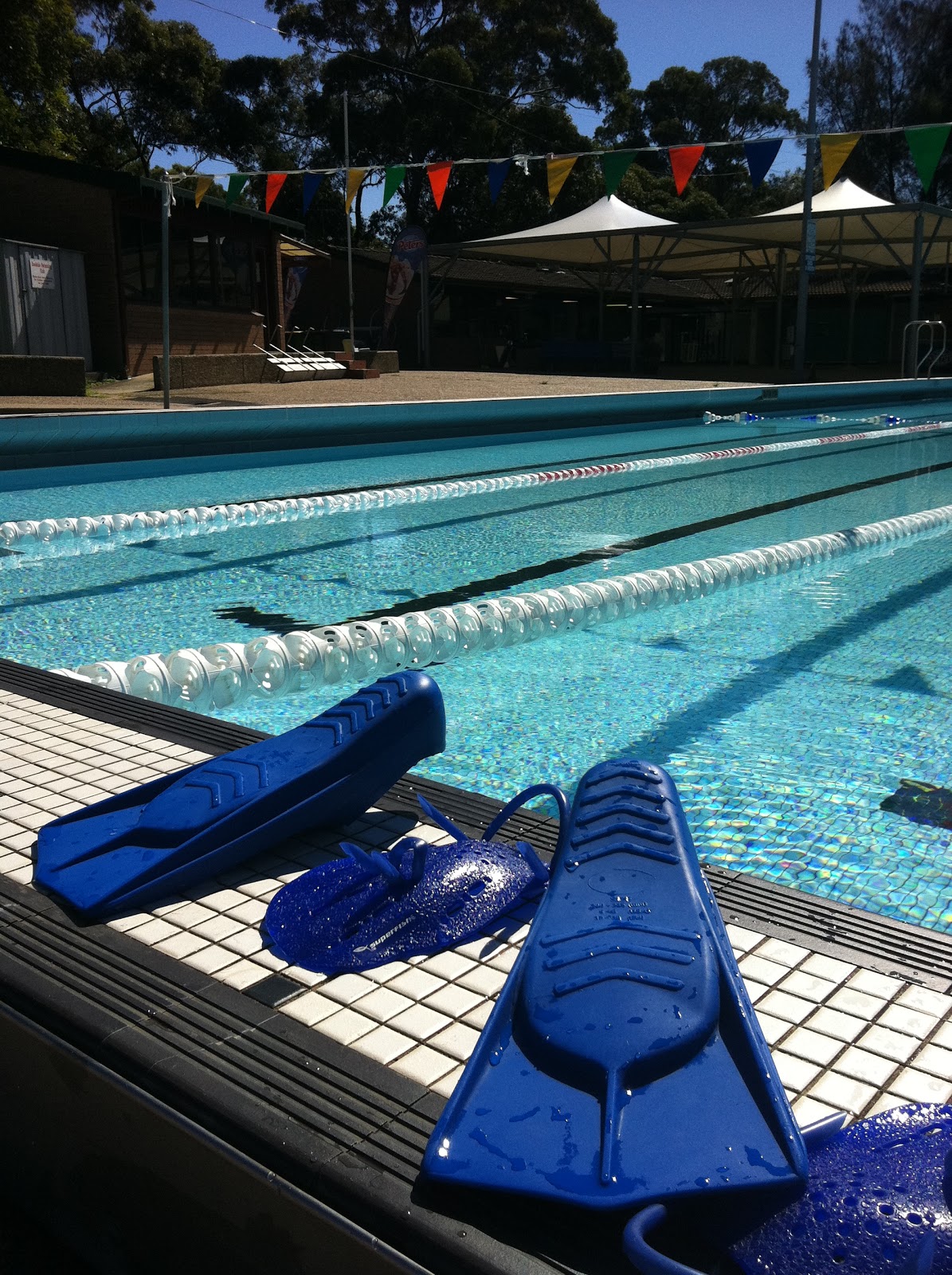 Swimming Famous Swimmers Benjamin Franklin