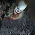Cinema | It: A Coisa | Nova adaptação de Stephen King ganha primeiro trailer