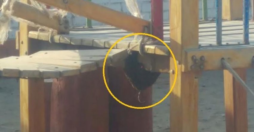 Cientos de abejas crean pánico en colegio «Villa Kids», Distrito de José Leonardo Ortiz - Lambayeque Cientos de abejas crean pánico en colegio «Villa Kids», Distrito de José Leonardo Ortiz - Lambayeque