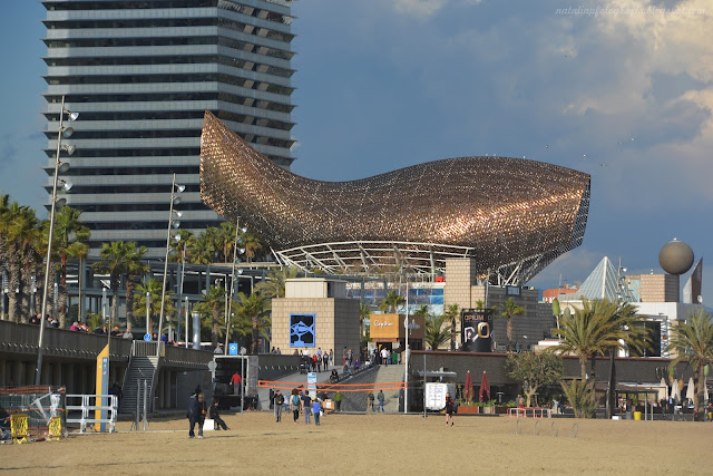 DSC_1679.JPG
