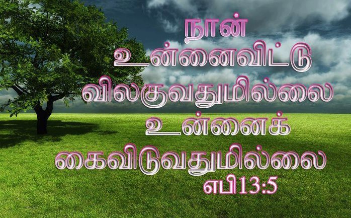 ... Verse Greetings Card & Wallpapers Free: Tamil Bible Verse Wallpaper