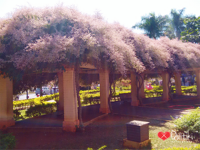 Praça do DAAE - Fonte Luminosa - Araraquara - SP