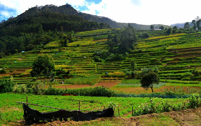 Vattavada Munnar Vattavada Munnar