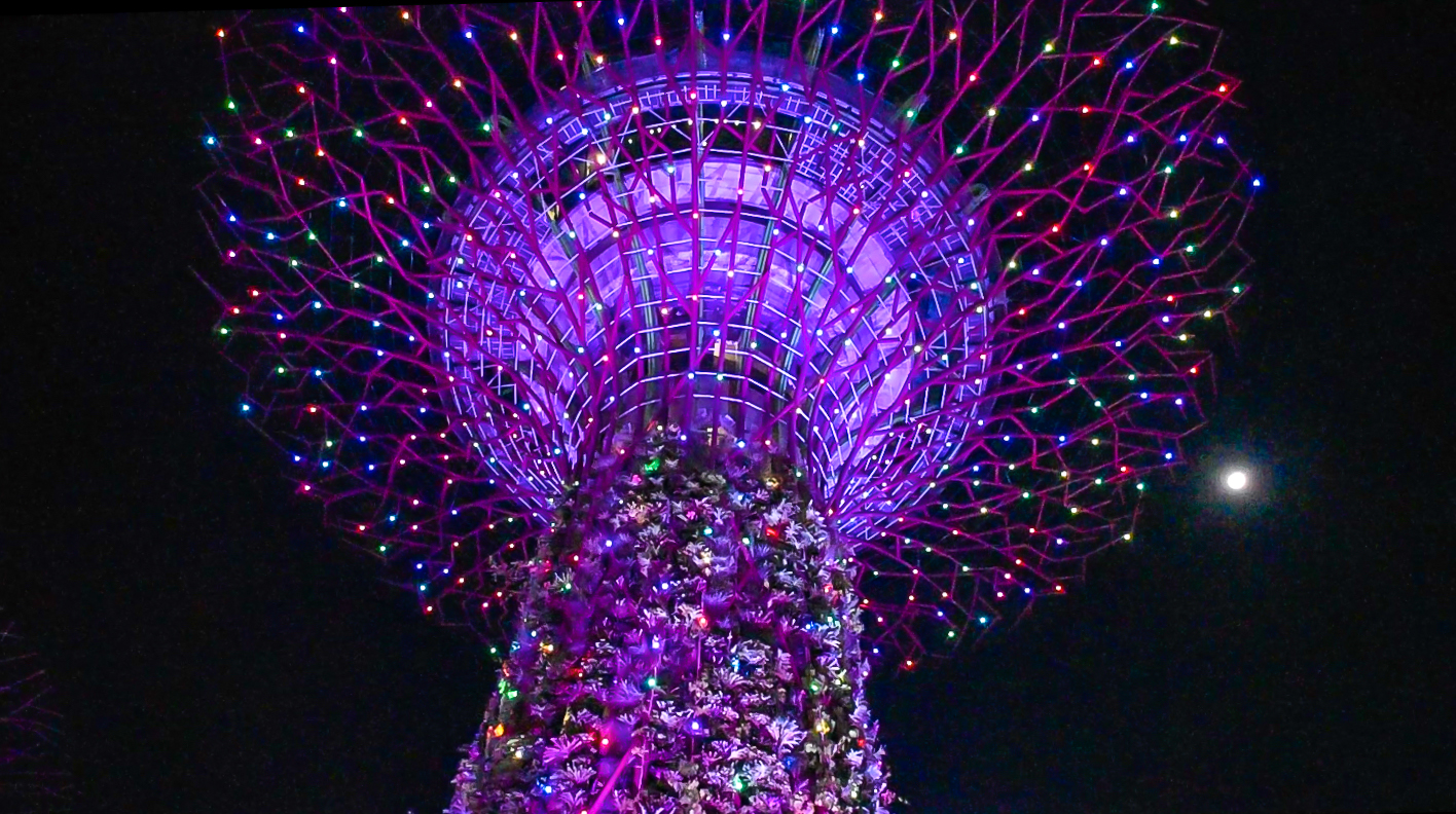 light show gardens by the Bay at night in singapore