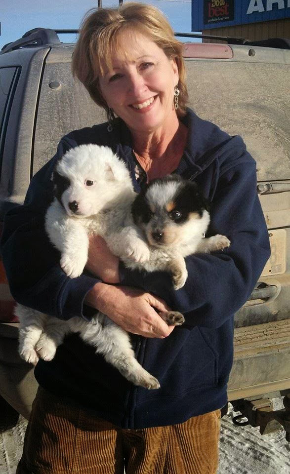 LightShine Pine Ridge Rez Dogs...The Sweeps Begin...And That Is Not a