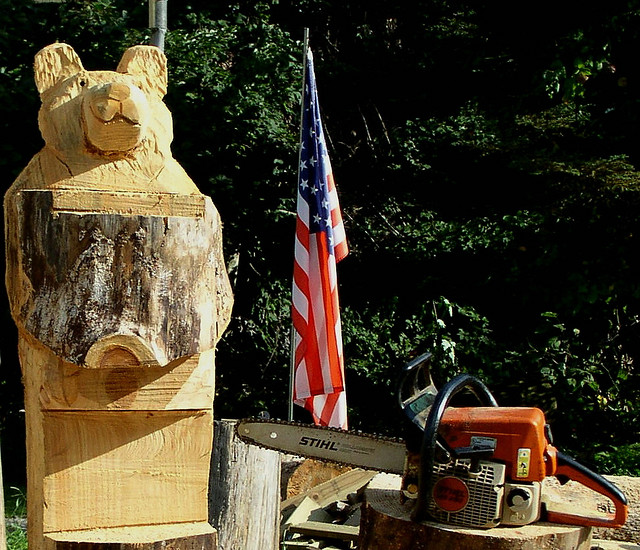 The Carpetbagger: Tree Carver, World Famous World Champion