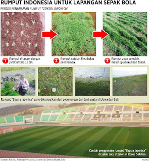 Rumput zoysia japonica lapangan banteng jakarta pusat dari lahan kita April Tahun 2023