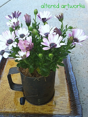 Using old kitchen sifter as planter