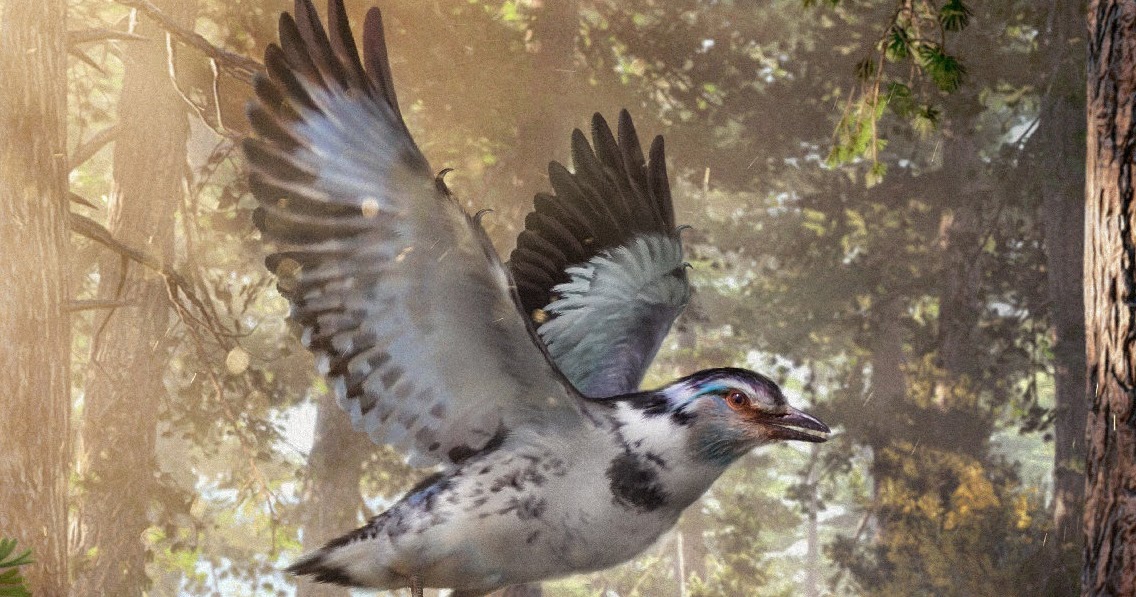 Species New to Science: [PaleoOrnithology • 2018] Jinguofortis